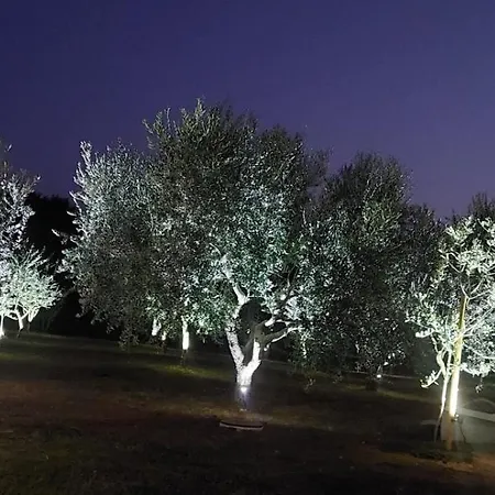 Hacienda Matea, An Oasis Of Romance Near The Beaches, Surrounded By Olive Trees, Pool, Jacuzzi, Playground, Istria Villa *