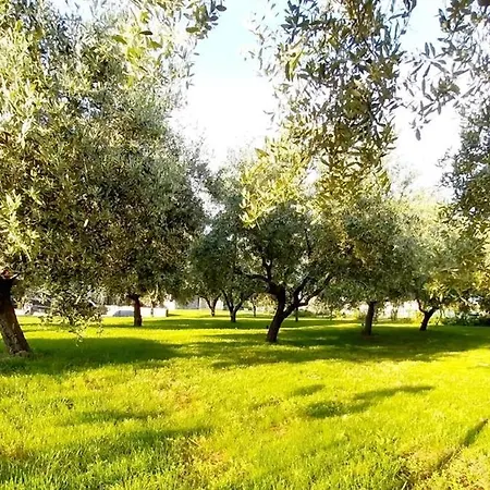 Hacienda Matea, An Oasis Of Romance Near The Beaches, Surrounded By Olive Trees, Pool, Jacuzzi, Playground, Istria פולה