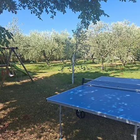 Villa Hacienda Matea, An Oasis Of Romance Near The Beaches, Surrounded By Olive Trees, Pool, Jacuzzi, Playground, Istria